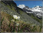 foto  Da Crest verso il Lago Ciarcerio